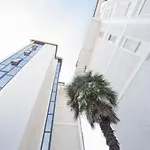 Mexico Immobiliare Pacella