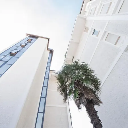 Mexico Immobiliare Pacella